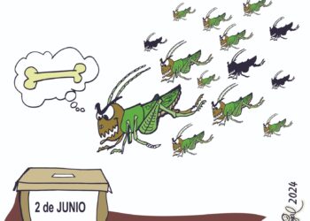 El Crudo Cartón.