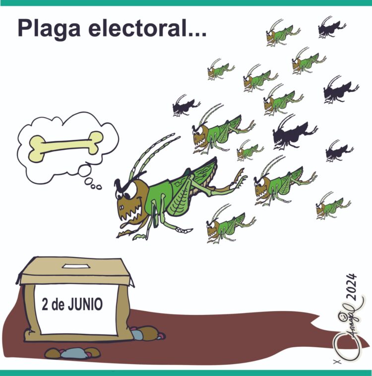 El Crudo Cartón.