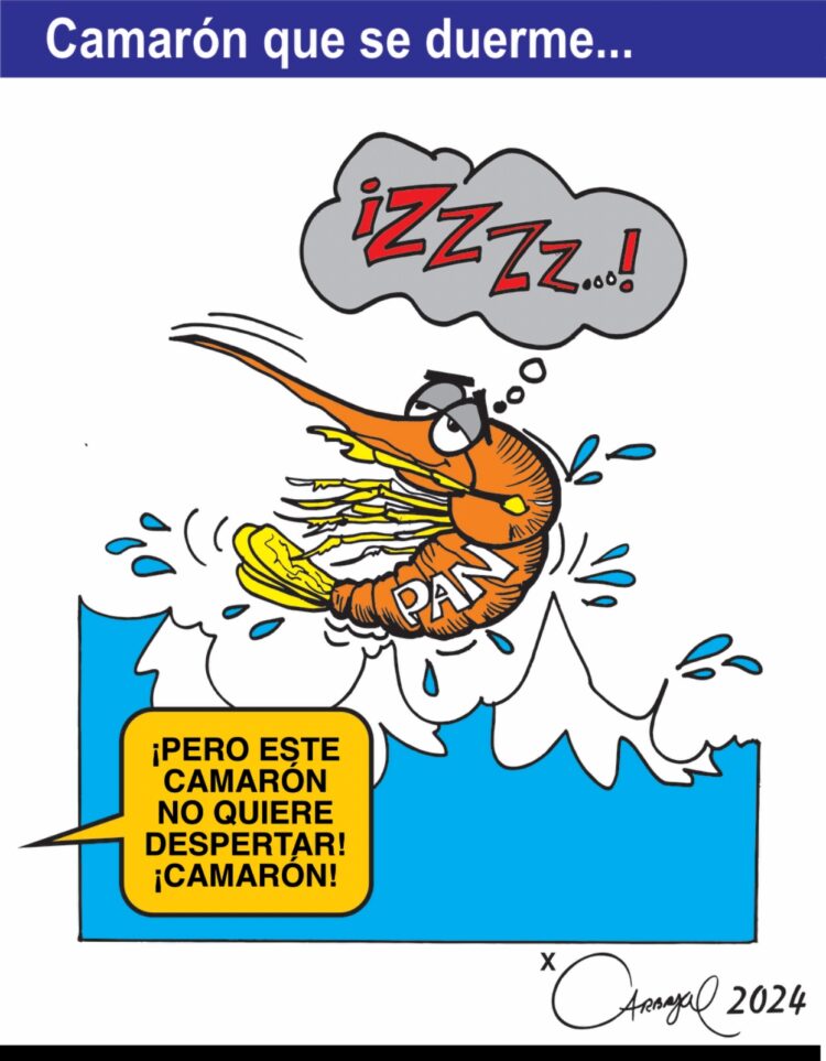 El Crudo Cartón.