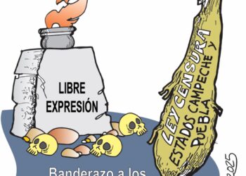 El Crudo Cartón.