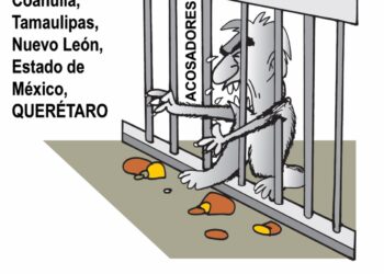 El Crudo Cartón.