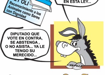 El Crudo Cartón.