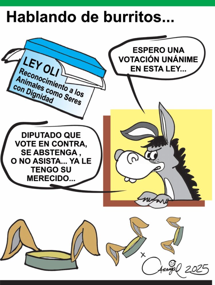 El Crudo Cartón.