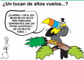 El Crudo Cartón.