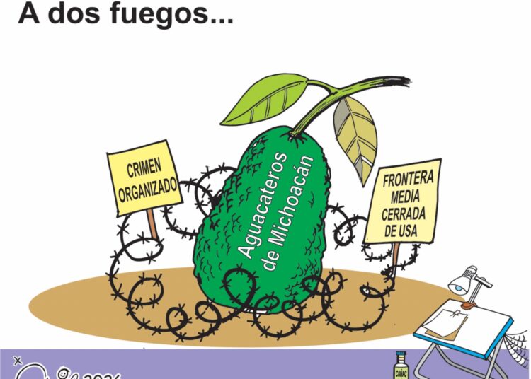 “A dos fuegos…” – Los Aguacateros de Michoacán entre el Crimen y EE. UU.