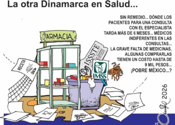 La otra Dinamarca en salud: Crisis y desabasto en el IMSS e ISSSTE