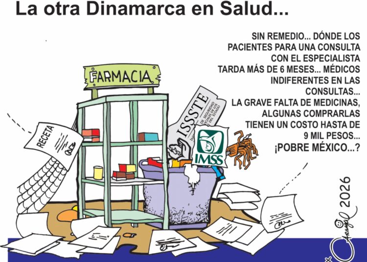 La otra Dinamarca en salud: Crisis y desabasto en el IMSS e ISSSTE